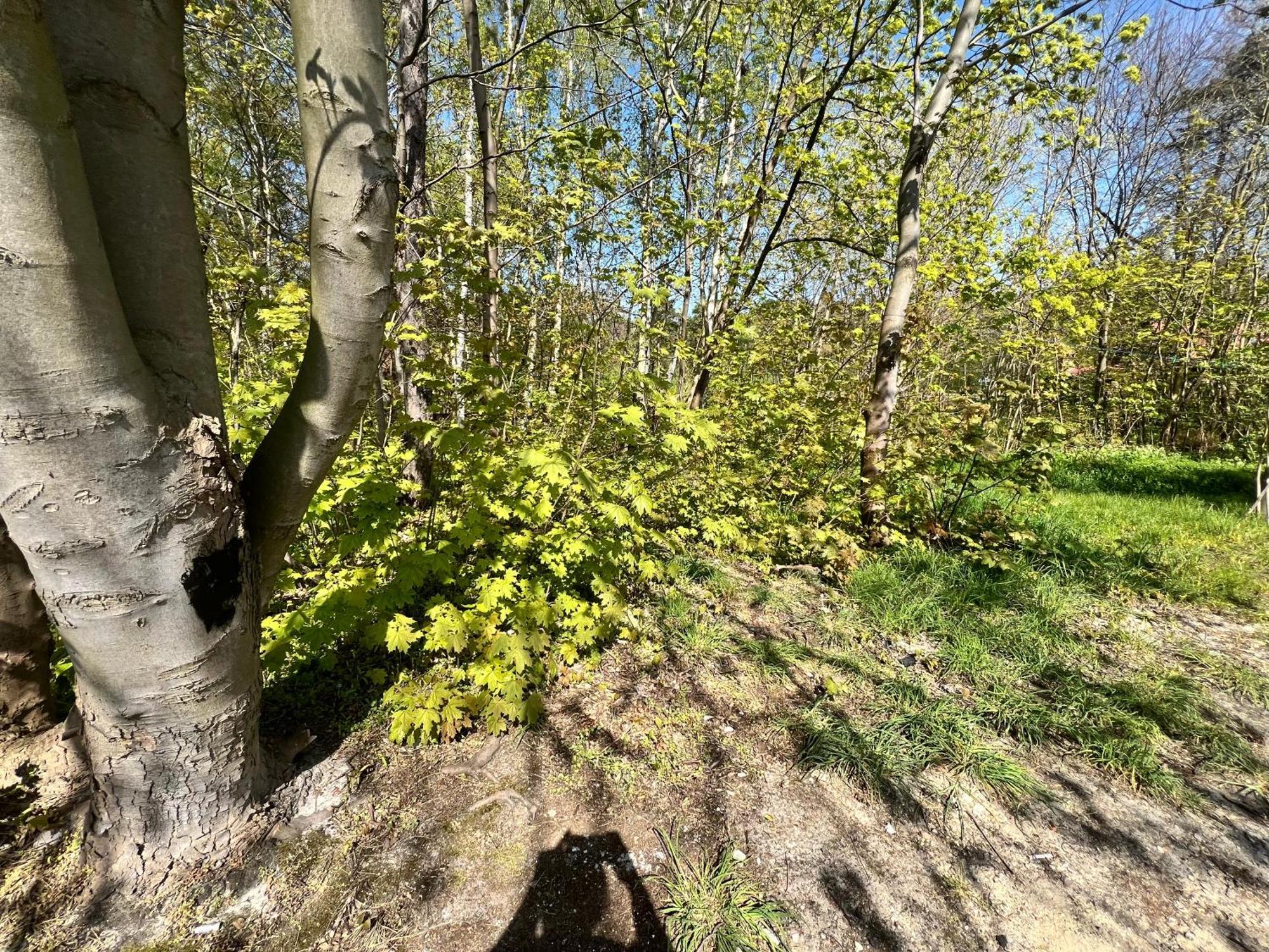 Na Spokojnie Jastarnia Exteriör bild